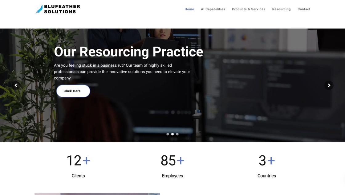 BluFeather Solutions preview